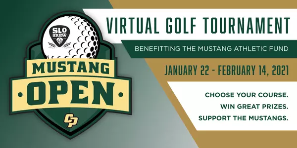 Mustang Open graphic
