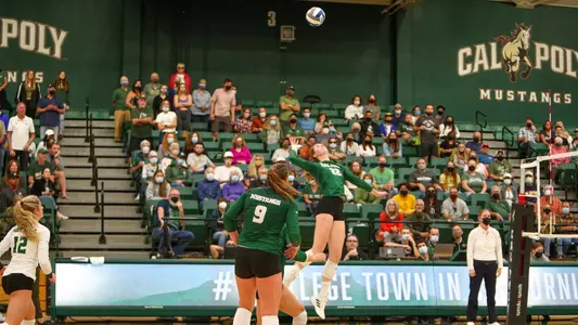Cal Poly Volleyball vs UC Irvine