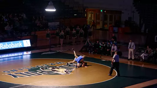 View of wrestling match from top.
