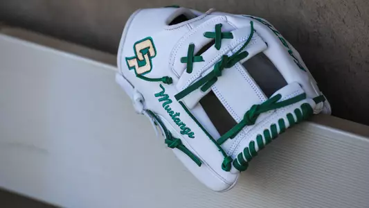 Practice Glove 2020 (Main)