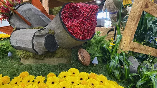 John Madden Football on Rose Float