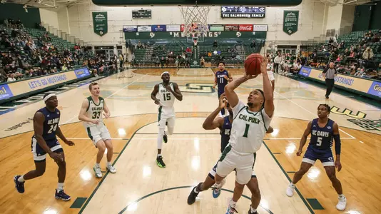 Pierce Behind Basket UCD (Main)