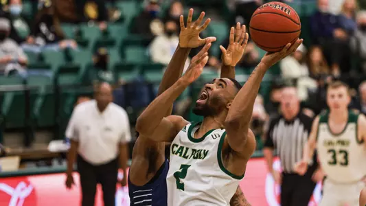 Taylor Layup UCD (Main)