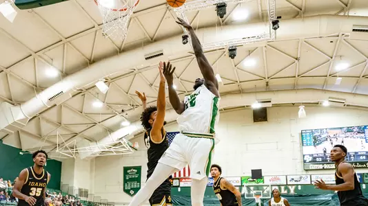 Koroma Layup Idaho (Betwos)