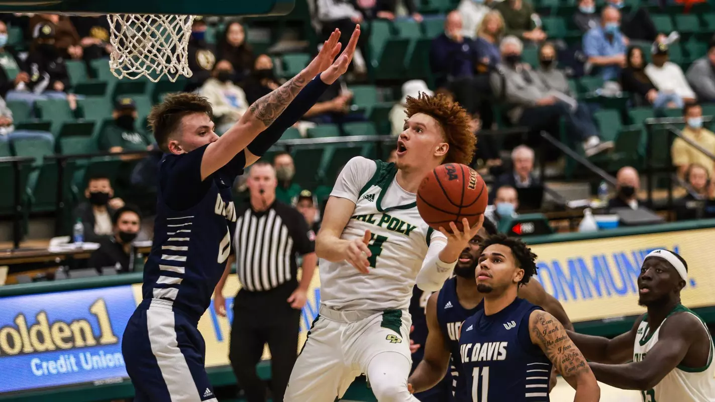 Stevenson Layup UCD (Main)