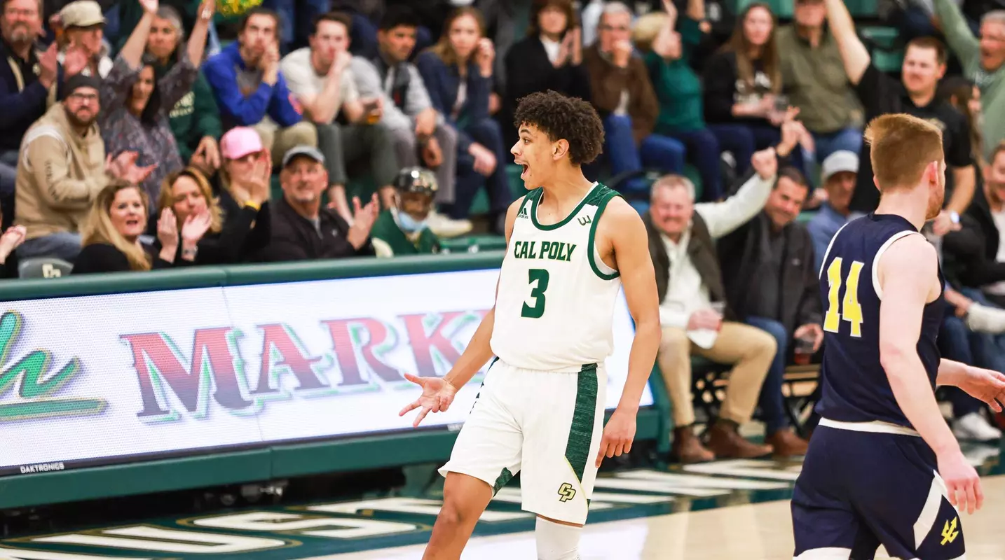 Sanders Three-Point Reaction UCSD (Main)