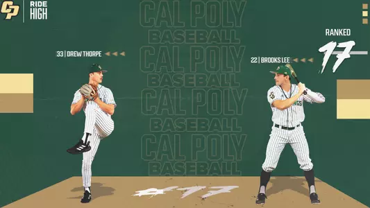 No. 17 graphic