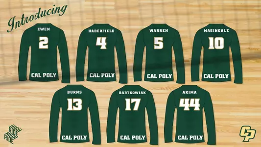 VB Newcomers Graphic