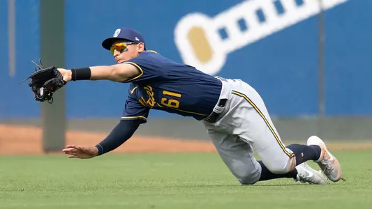 Mark Mathias dives to make a catch.