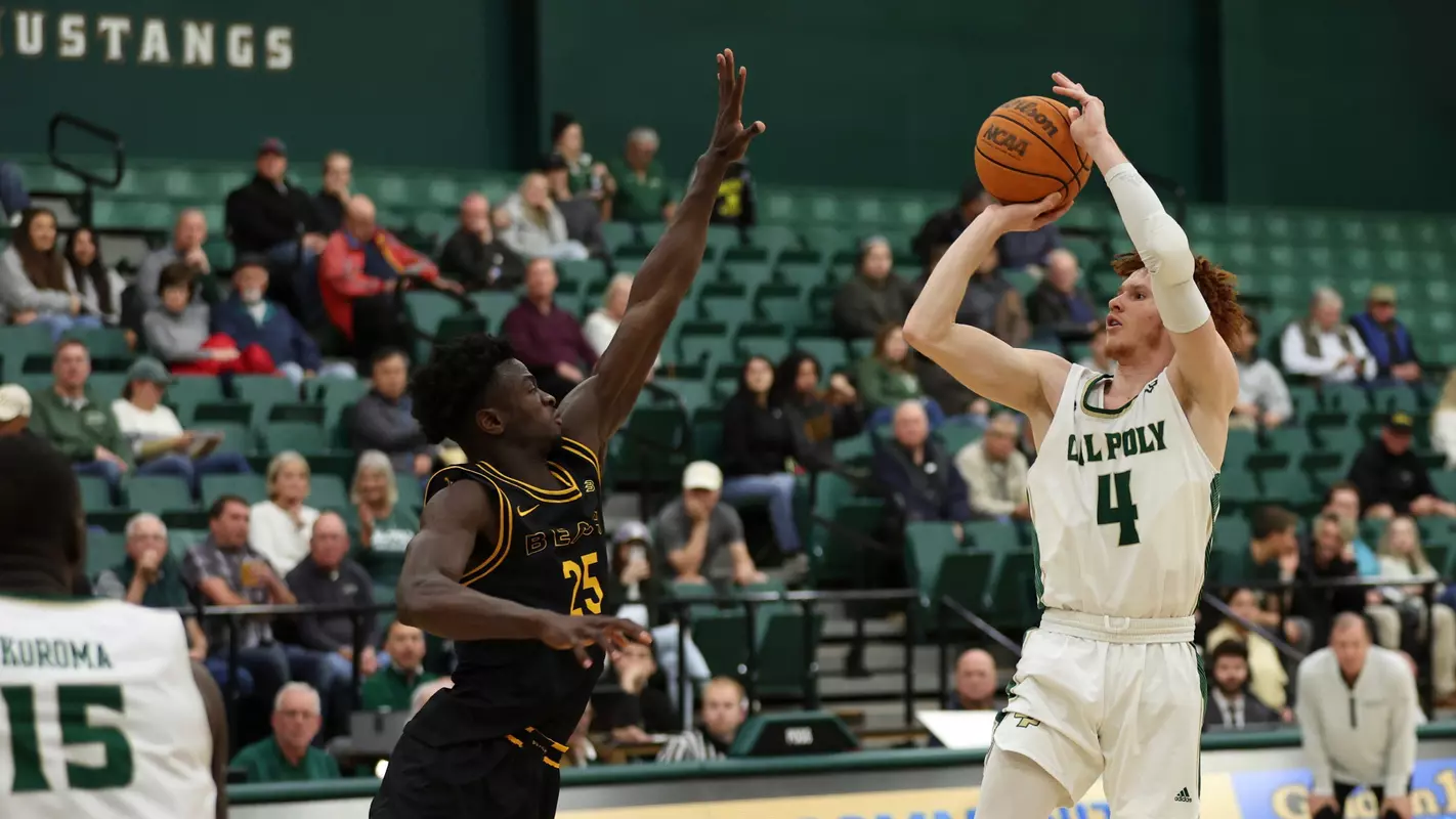 Stevenson Jumper LBSU (Main)