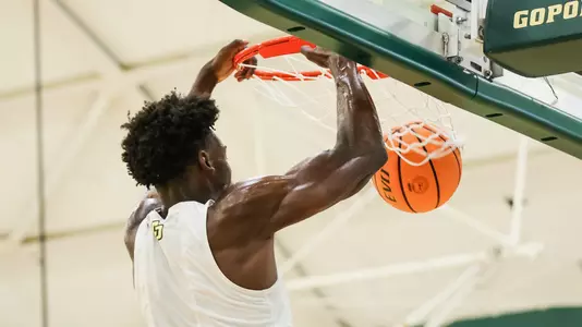 Armmtrading Dunk Preseason (Main)