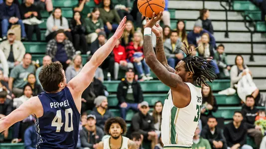 Hunter Jumper UCD (Main)