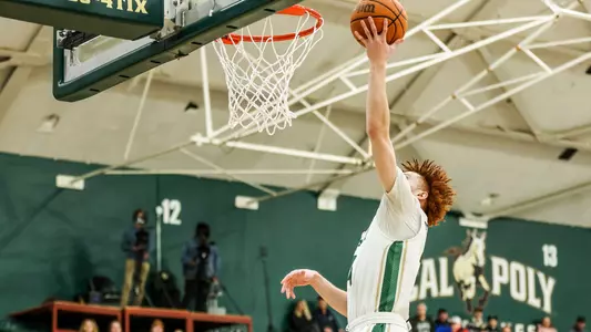 Stevenson Layup UCD (Main)