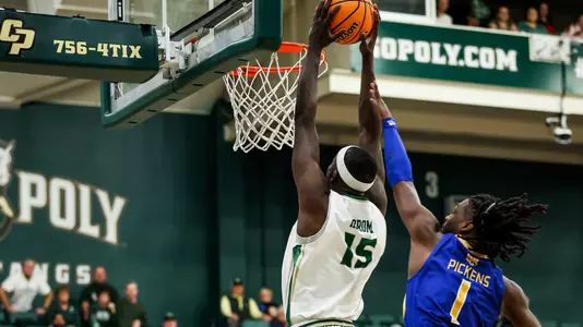 Koroma Dunk UCR (Main)