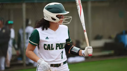 Diaz At-Bat CSUN (Harrell)