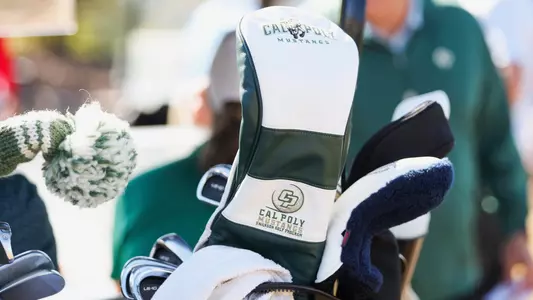 Club Head Cover 2022