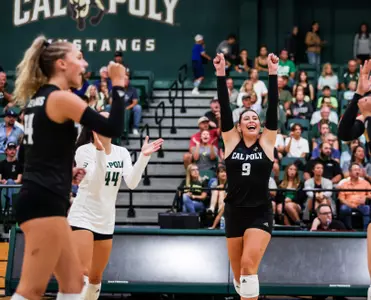 VB Team Celebration