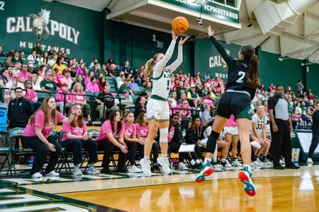 Ania McNicholas Three