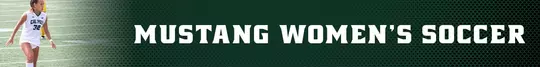 WSC Tic Header