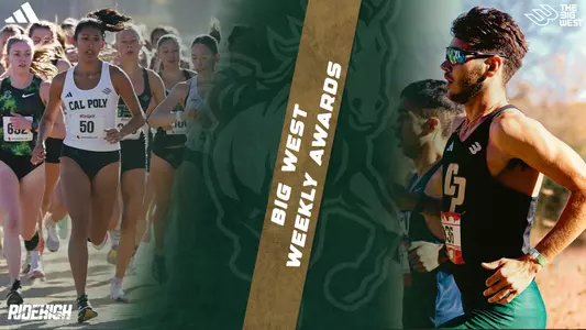 Cornejo-Bove Split Website Graphic