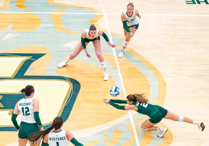 VB Team Shot UCR