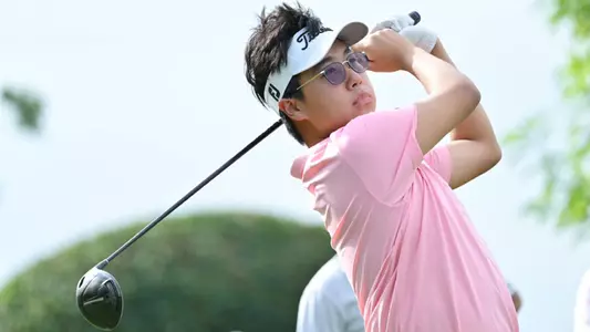 Wang NLI