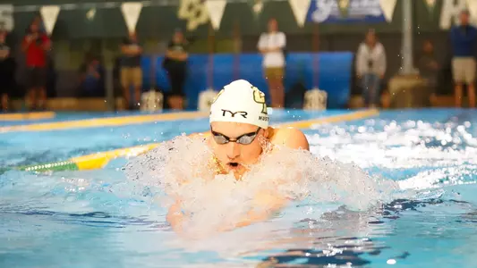 Huston Breaststroke UCSB