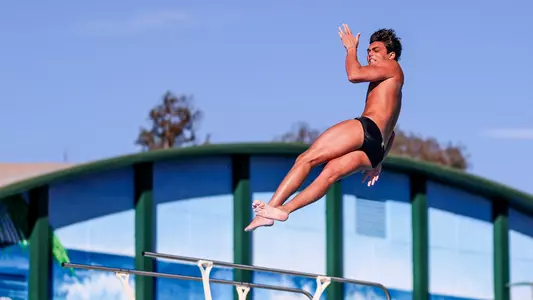 Madden Saini, 011224