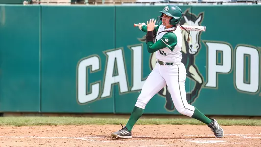 Perez Contact UCSB (Main)