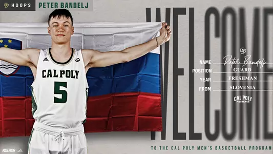 Bandelj NLI Announcement