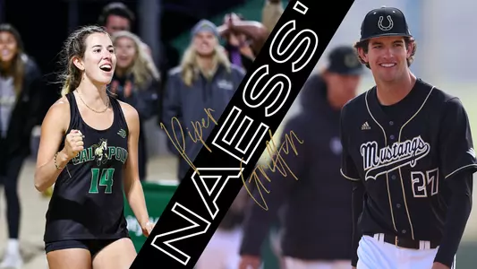 Naess Feature Story Graphic