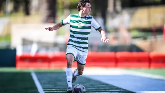 Torres Dribble Spring (Main)