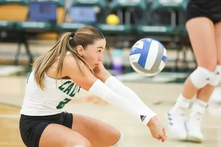 Elif Low Dig Sac State