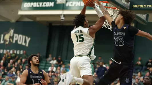 Price Dunk UCI (Main)