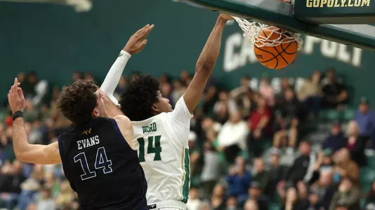 Ward Dunk UCI (Main)