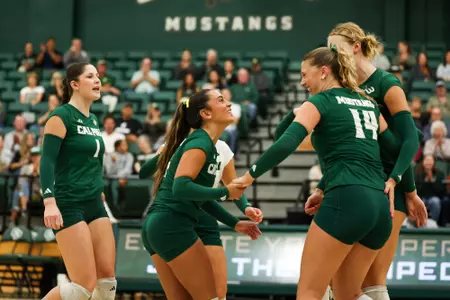 VB Team Celebration
