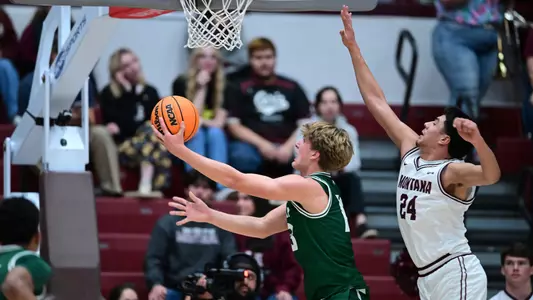 Plumtree Layup Montana