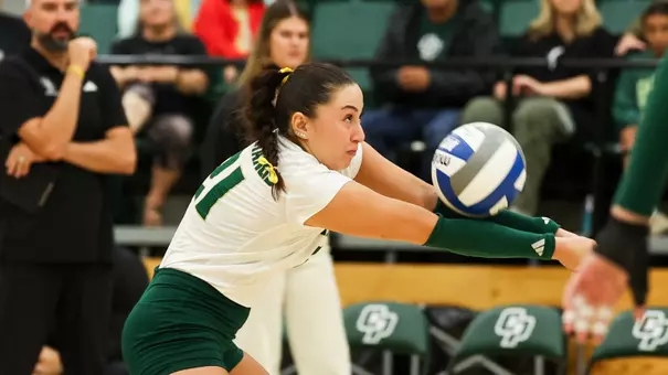 Hurriyet Dig vs CSUB