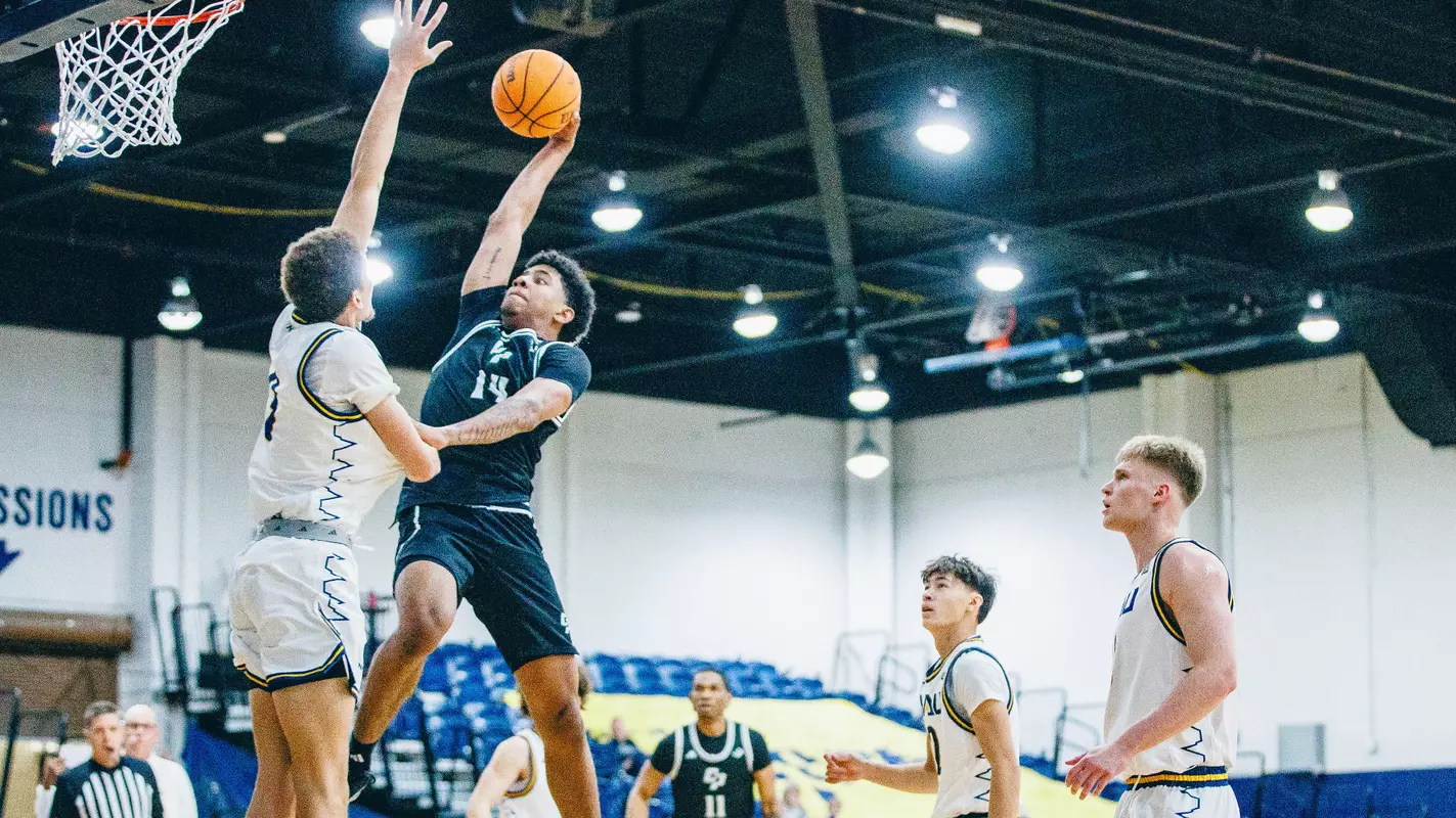 Ward Dunk NAU (Zach Melendez)