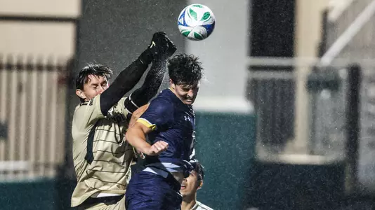 McCune Punch UCSD (Main)