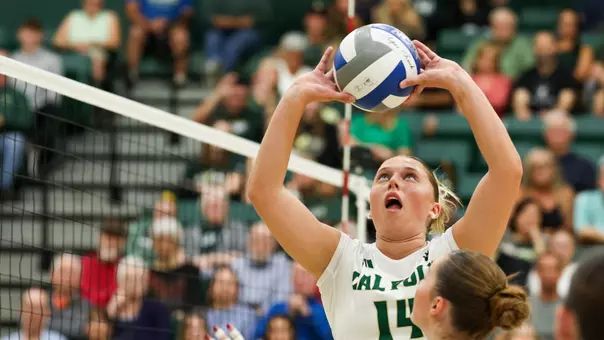 Emme Setting - Offset