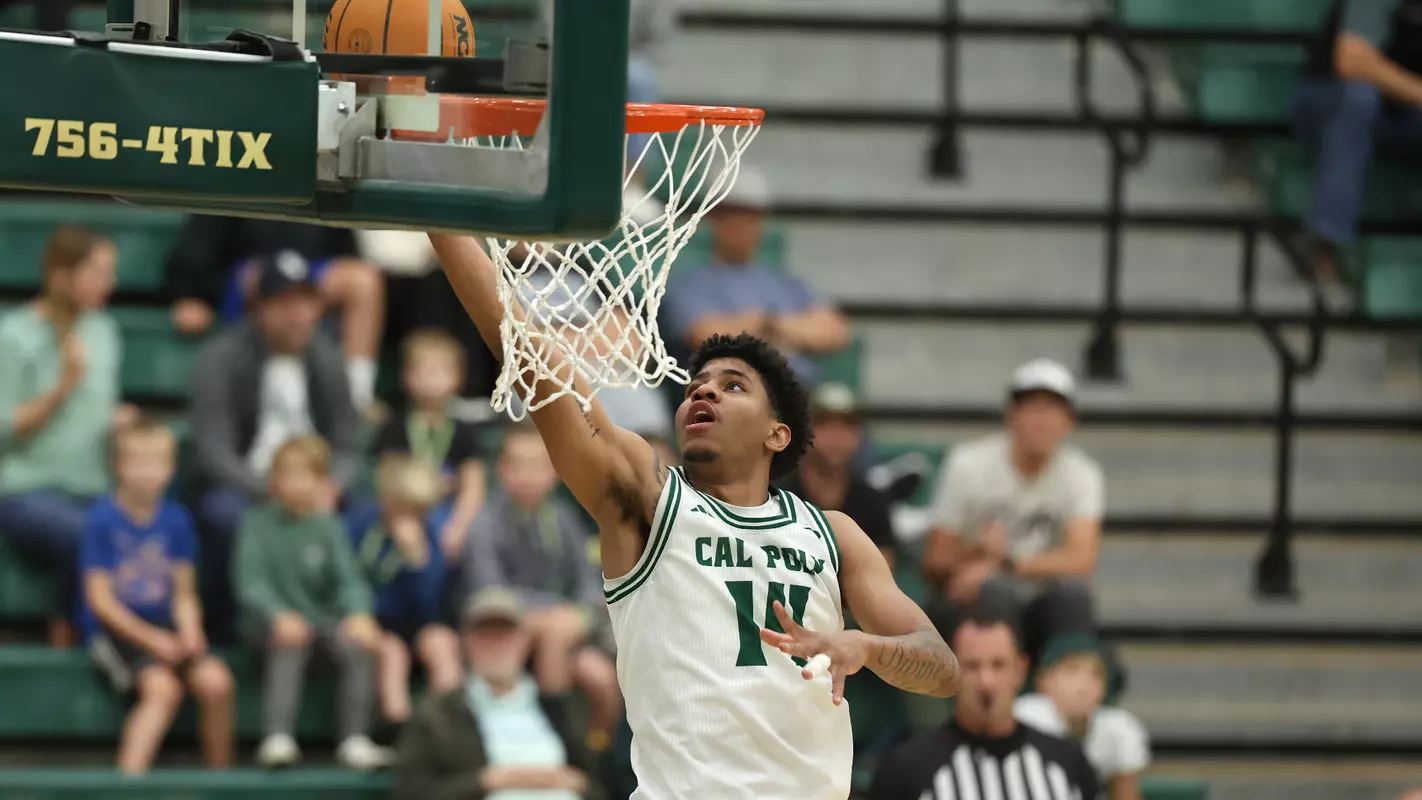 Ward Layup MSU (Main)