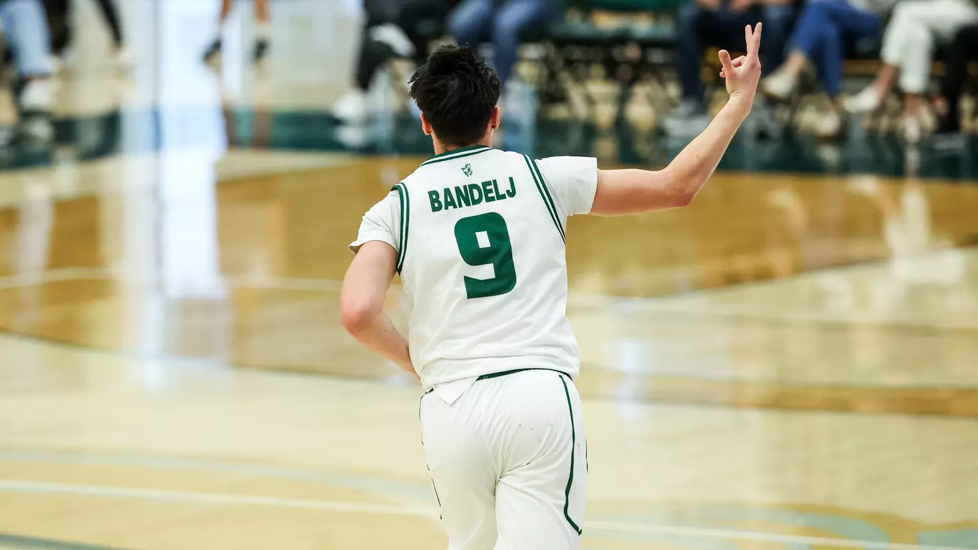 Bandelj Three Reaction Redlands (Main)