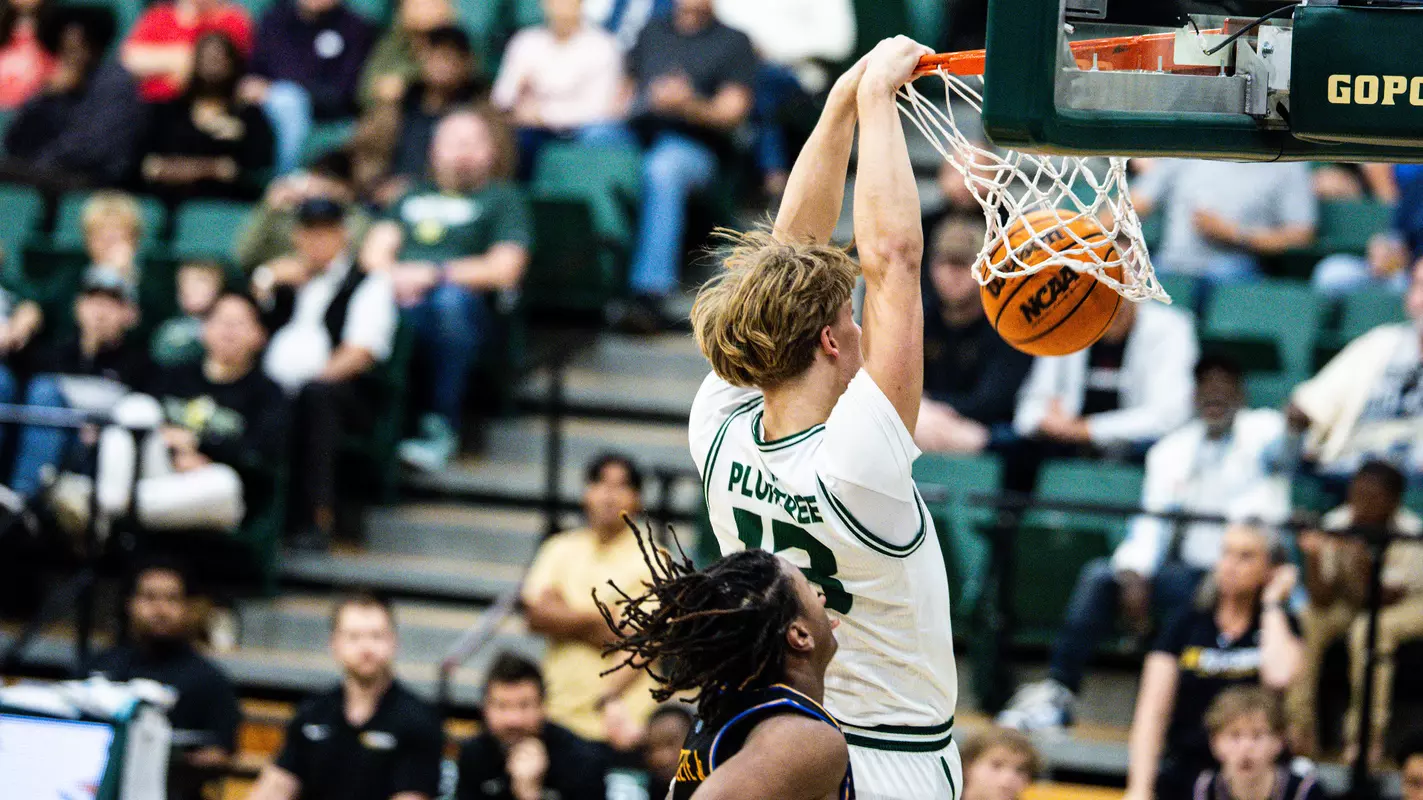 Plumtree Dunk UCR (Main)