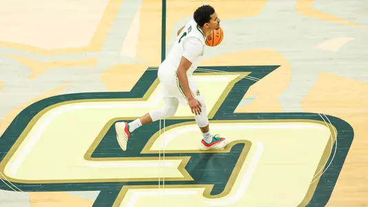 Hyder Dribble Hawai'i (Main)