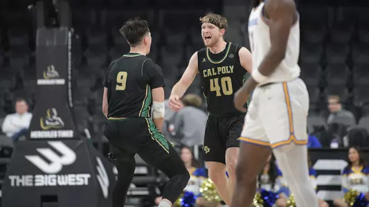 Bandelj-Jessup UCR (Billings)