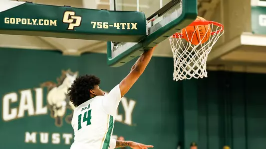 Ward Dunk UCSD