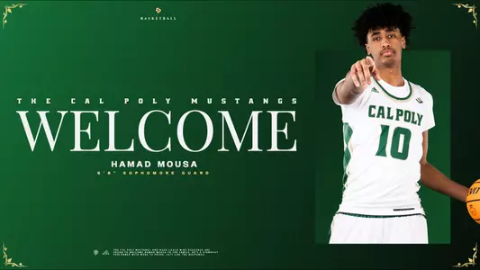 Mousa Graphic (Web)
