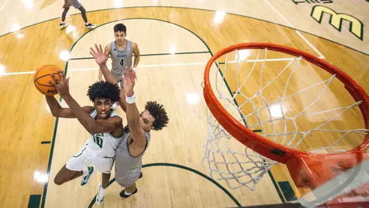 Mousa Backboard UC Davis (Main)