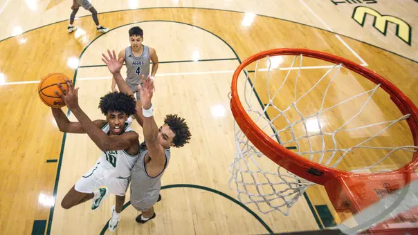 Mousa Backboard UC Davis (Main)